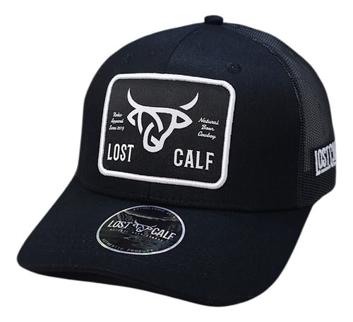 Gorra Lost Calf 100% Original New Colección Visera Curva