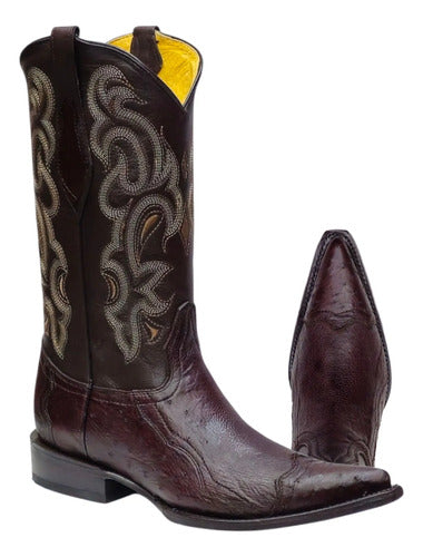 Botas Avestruz Panza 100% Original Est Puntera Vaquera Welt