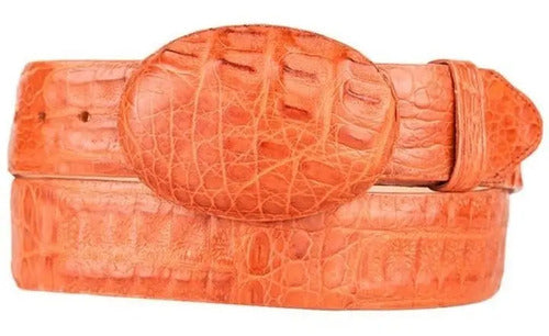 Cinturón Vaquero Piel Exótica Cocodrilo Fuscus Original