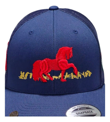 Gorra Snapback Yupoong Original Federación Charra Mr Charro