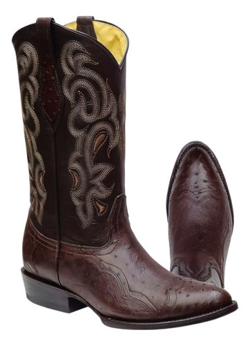 Botas Avestruz Panza 100% Original Est Puntera Vaquera Welt