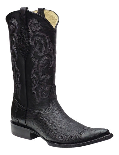 Botas Avestruz Panza 100% Original Est Puntera Vaquera Welt