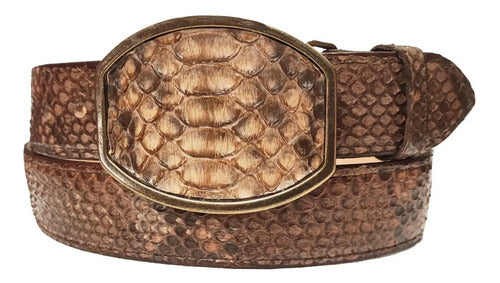 Cinturón Vaquero Hebilla Bronce Piel Víbora Python Genuina