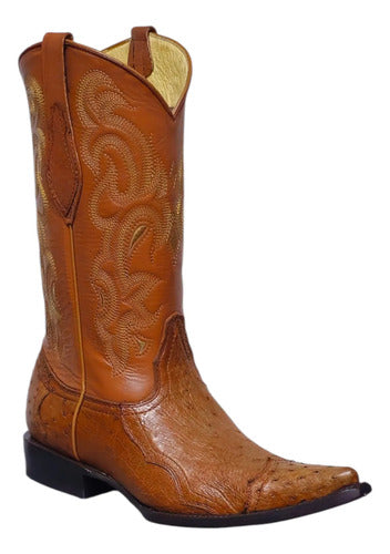 Botas Avestruz Panza 100% Original Est Puntera Vaquera Welt