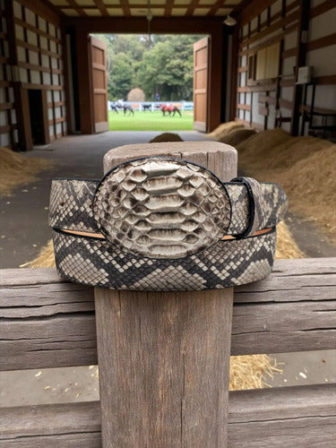 Cinturón Vaquero Víbora Pitón 100% Python Genuino