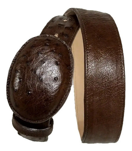 Cinturón Vaquero Piel Exótica Panza De Avestruz Original