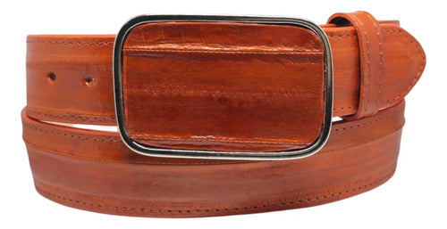 Cinturón Vaquero Casual Piel Exótica Anguila Hebilla Metal