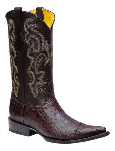 Botas Avestruz Panza 100% Original Est Puntera Vaquera Welt