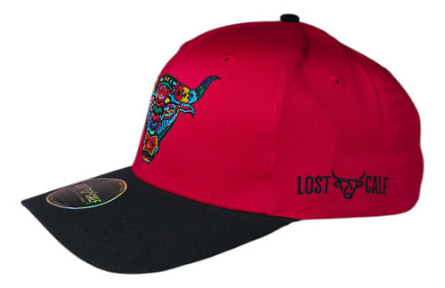 Gorra Lost Calf 100% Original New Colección Visera Curva