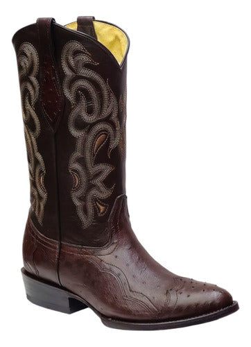 Botas Avestruz Panza 100% Original Est Puntera Vaquera Welt