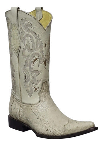 Botas Avestruz Panza 100% Original Est Puntera Vaquera Welt