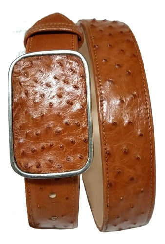 Cinturón Vaquero Casual Piel Exótica Avestruz Hebilla Metal
