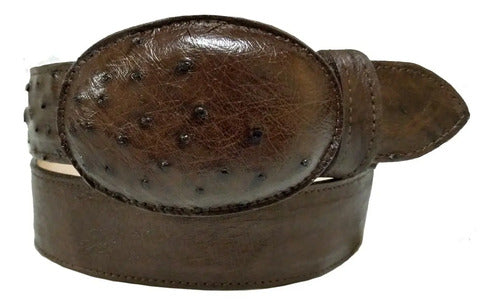 Cinturón Vaquero Piel Exótica Panza De Avestruz Original